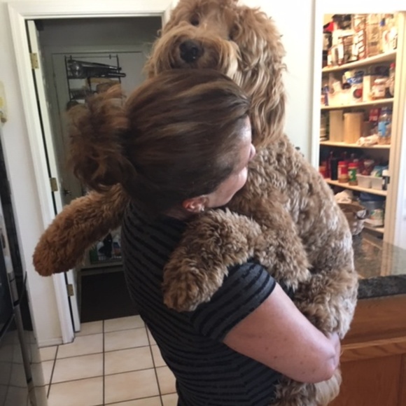 Meet your Posher, Terry - Picture 4 of 6